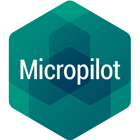 Micropilot - Category: Structural Analysis
